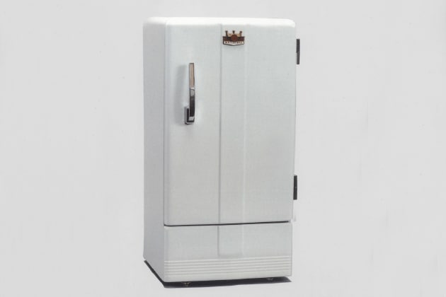 Panasonic Kühlschrank alt